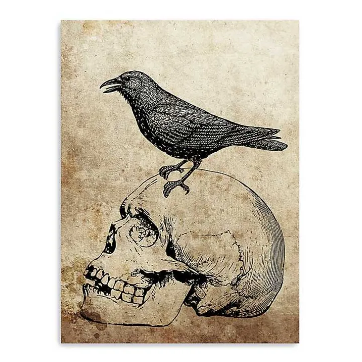 Vintage Skull & Raven Canvas Art Print
