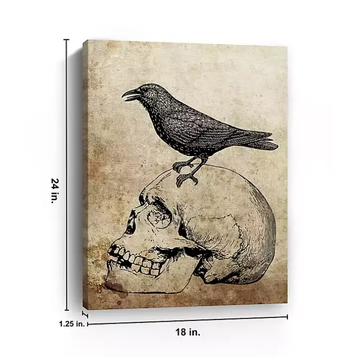 Vintage Skull & Raven Canvas Art Print