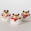 Whimsical Reindeer Ceramic Containers, Set of 3