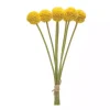 Yellow Pod Sprays, Set of 6