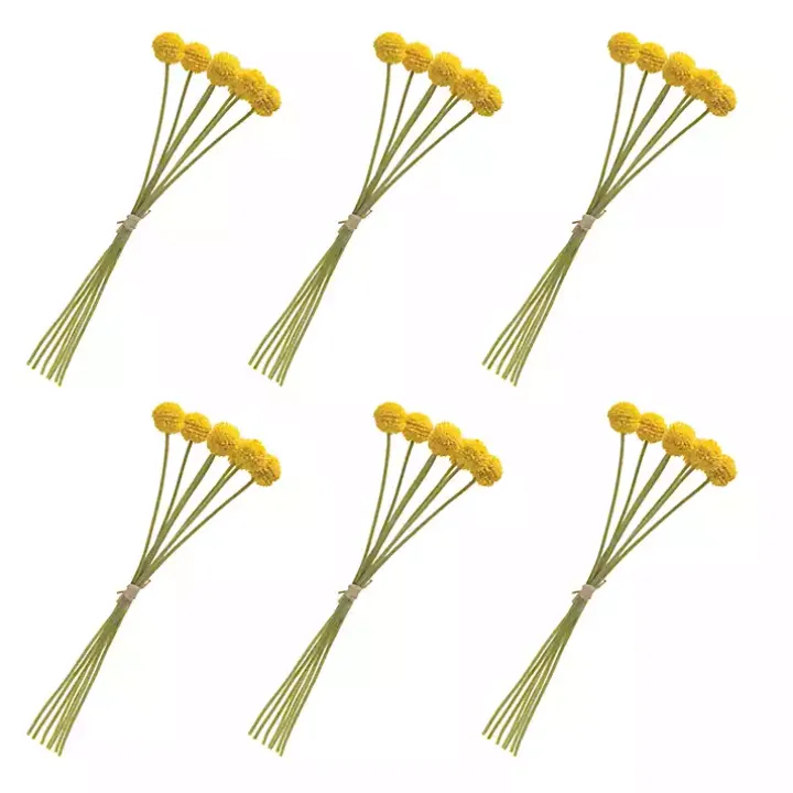 Yellow Pod Sprays, Set of 6