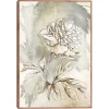 Beauty Within Framed Canvas Art Print