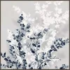 Blue Spring Framed Canvas Art Print