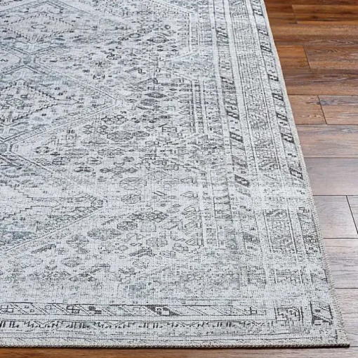 Blue Traditional Washable Area Rug, 5x7
