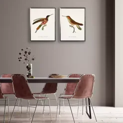 Hummingbird II Framed Art Print
