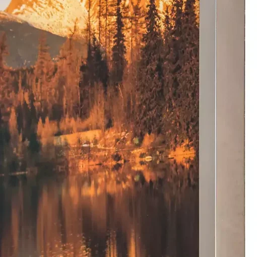 Identic Image Framed Tempered Glass Print