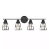 Matte Black Cage Shade Vanity Light