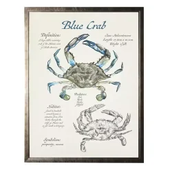 Nature Study of a Blue Crab Framed Art Print