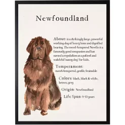 Newfoundland Facts Framed Wall Plaque
