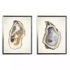 Oyster Shells Framed Art Prints, Set of 2