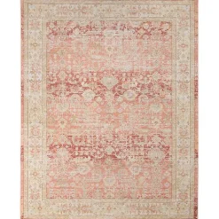 Salmon Vintage Border Area Rug