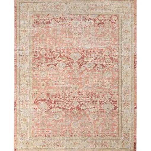 Salmon Vintage Border Area Rug