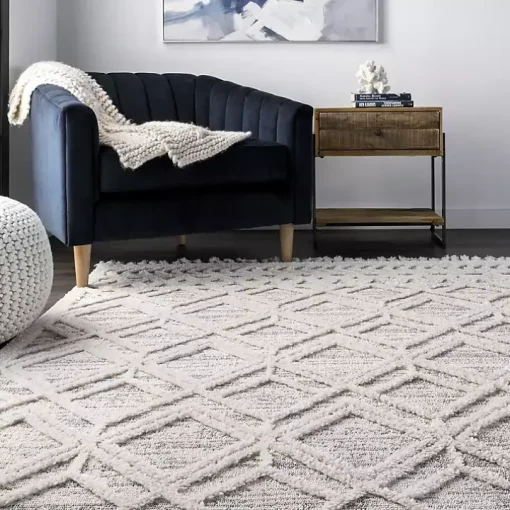 Shaggy Lattice Tassel Ansley Area Rug, 5x7