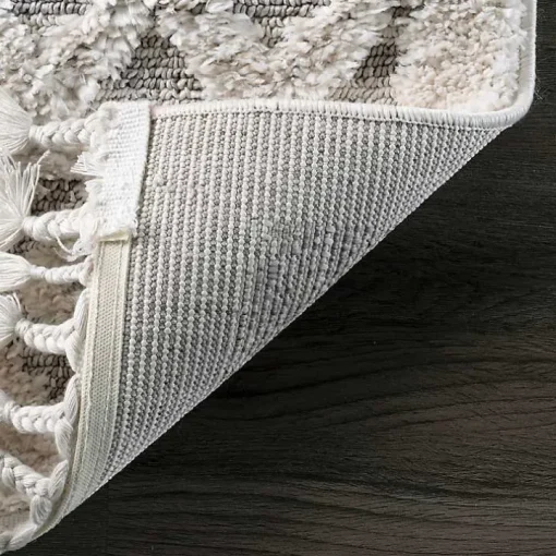 Shaggy Lattice Tassel Ansley Area Rug, 5x7