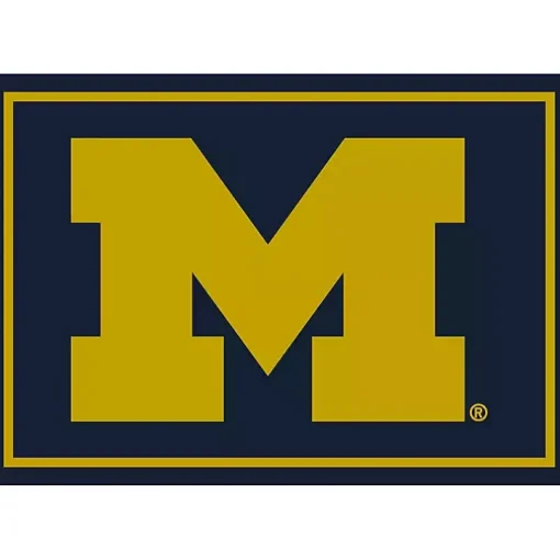 University of Michigan Area Rug, 4x6