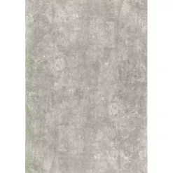 Whitlow Gray Shag Washable Area Rug, 5x8