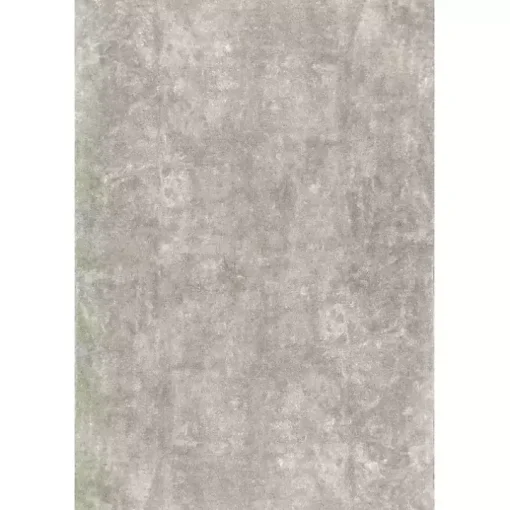 Whitlow Gray Shag Washable Area Rug, 5x8
