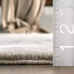 Whitlow Gray Shag Washable Area Rug, 5x8
