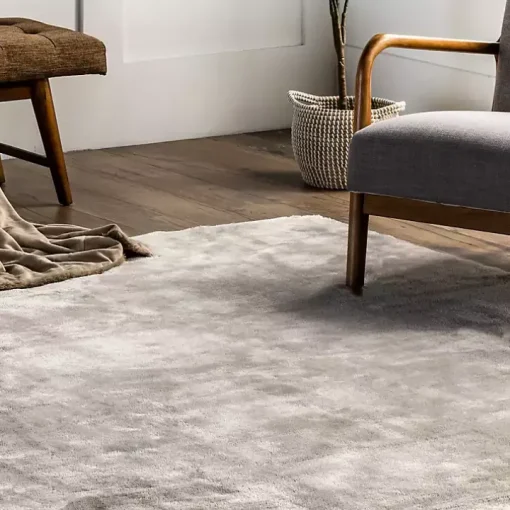 Whitlow Gray Shag Washable Area Rug, 5x8