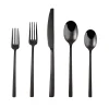 Black Mirrored Steel 20-pc. Flatware Set