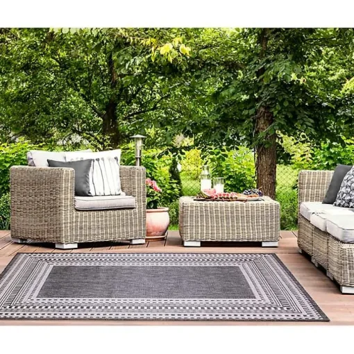 Charcoal Linear Macy Indoor/Outdoor Area Rug, 4x7