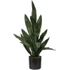 Dark Green Sansevieria in Nursery Planter, 24 in.