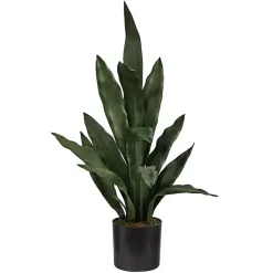 Dark Green Sansevieria in Nursery Planter, 24 in.