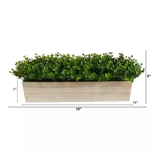 Eucalyptus Arrangement in Wide Wooden Planter