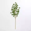 Green Leaves Stem