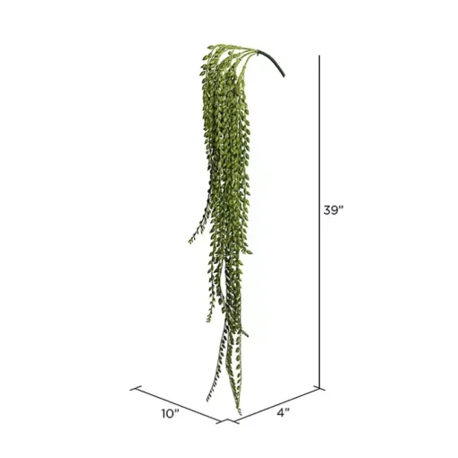 Green Senecio Bush