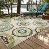 Green Suzani Capetown Area Rug, 5x7