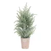 15 in. Potted Icy Pine Trees, Set of 4