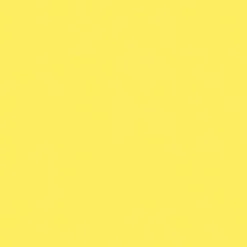 Lemon Leala Luxe Outdoor Dining Chair Cushion