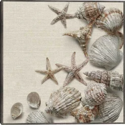 Linen Shell Collection Framed Canvas Art Print