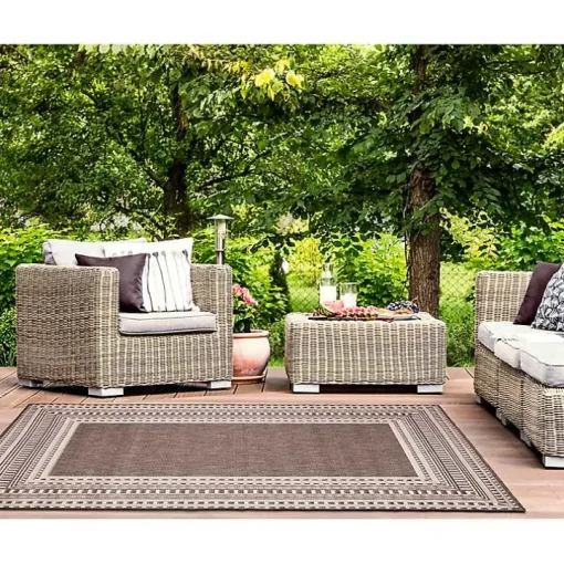 Natural Linear Macy Indoor/Outdoor Area Rug, 4x7