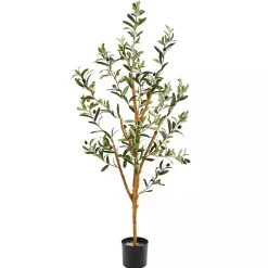 Slender Olive Branch Tree in Nursery Planter
