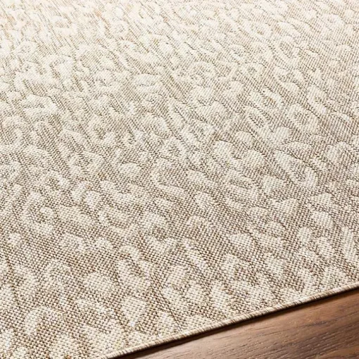 Tan Amur Outdoor Rug, 5x7