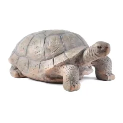 Tortoise Statue