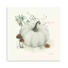 White Pumpkin Canvas Art Print, 30x30 in.