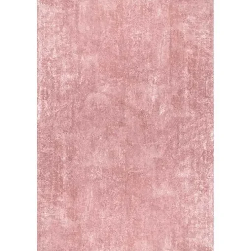 Whitlow Pink Shag Washable Area Rug, 6x9